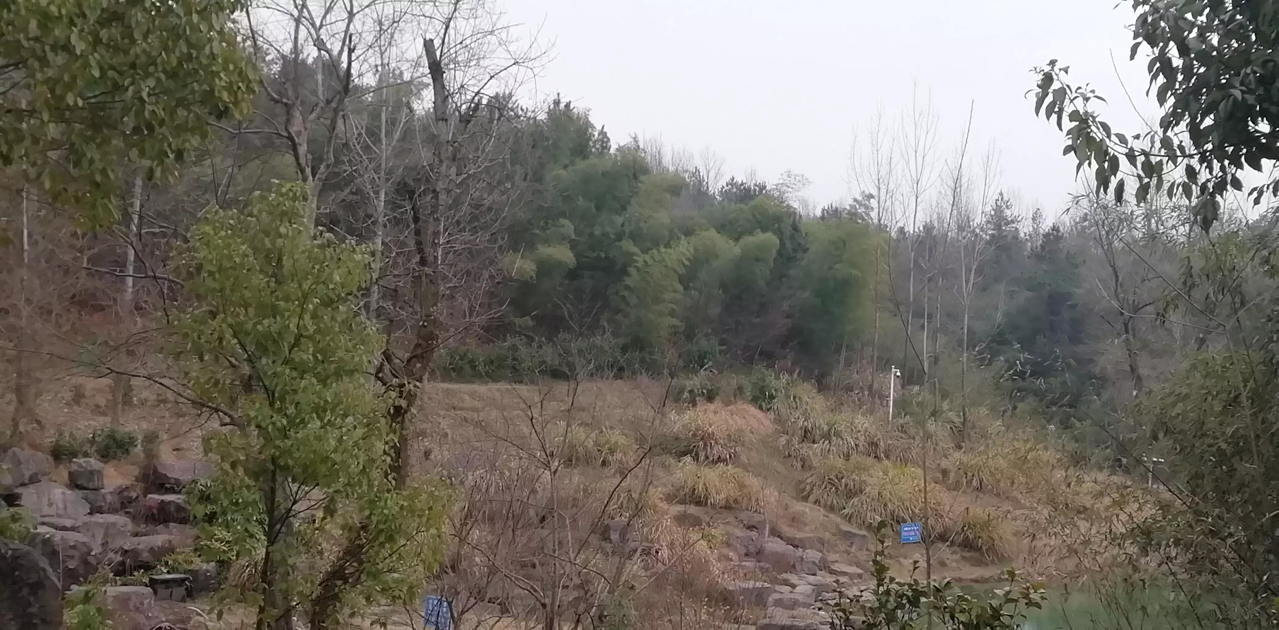 请投友们评论拍摄的怎么样？