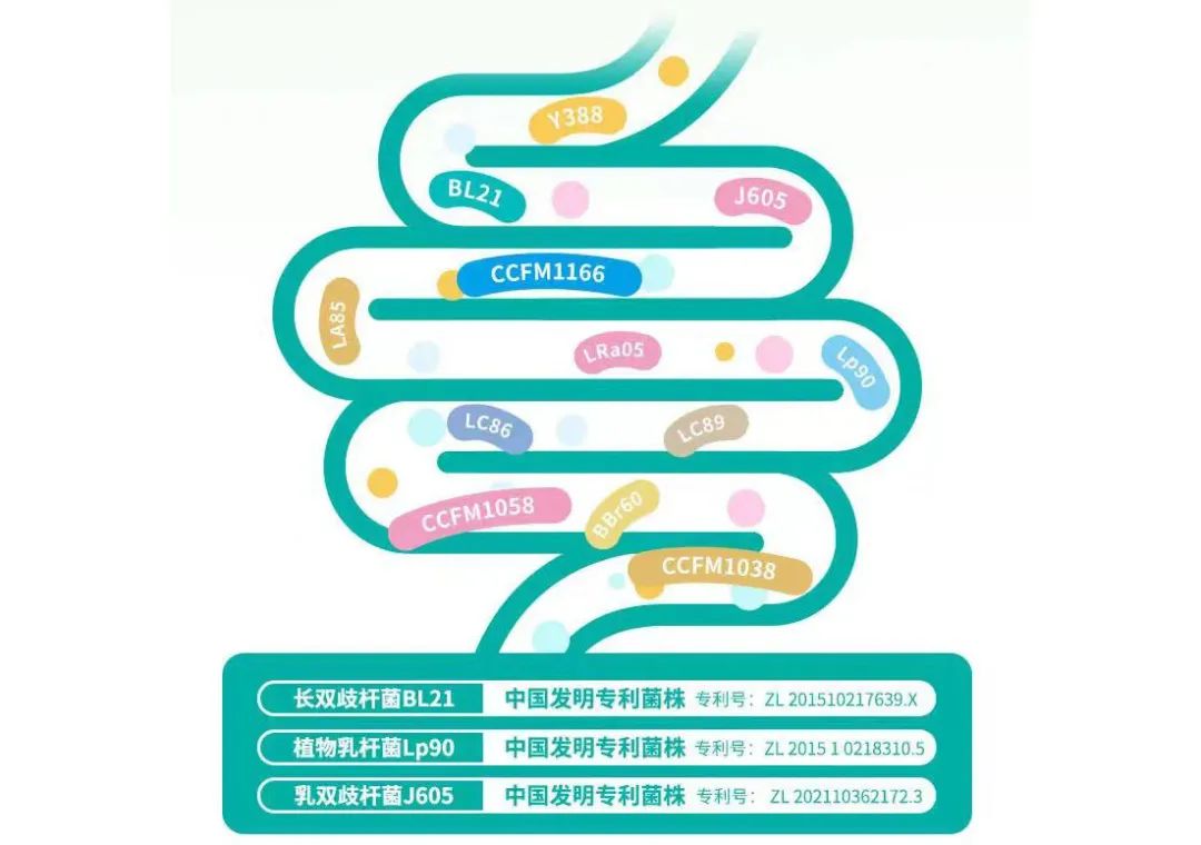 上市公司12000亿益生菌,益生菌商业巨头