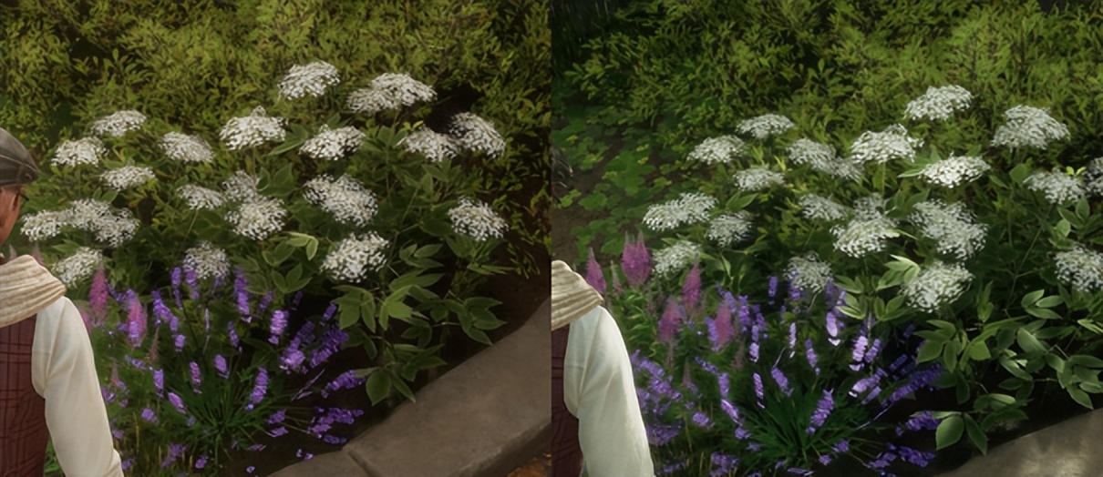 褰遍┌rtx4070鏄熸洔oc鑳屾澘,褰遍┌geforcertx3080鏄熸洔