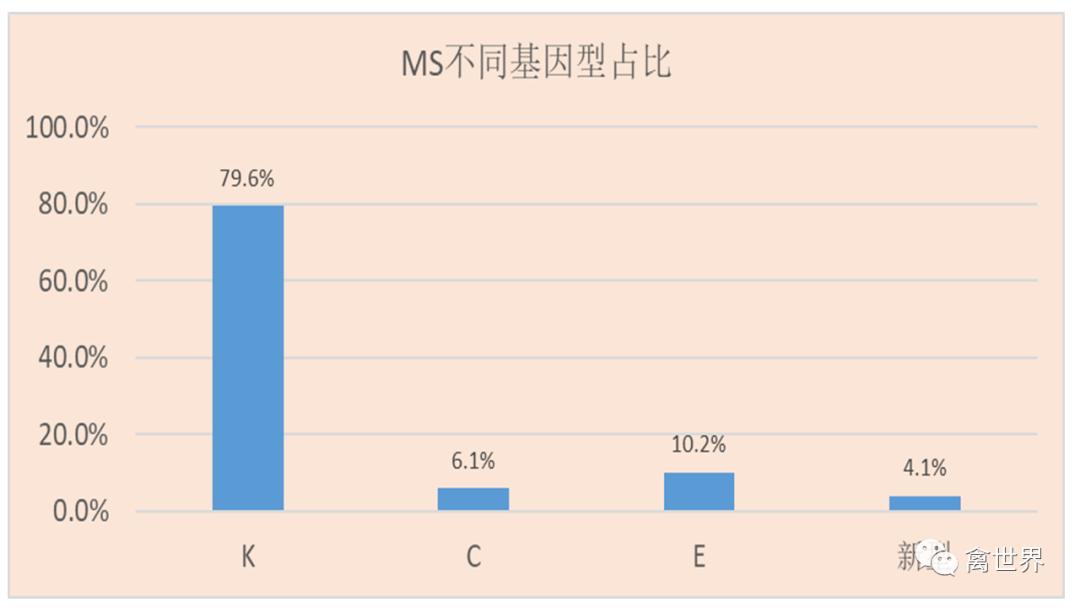 大数据｜2019年-2022年4月我国鸡滑液囊支原体流行病学调查报告
