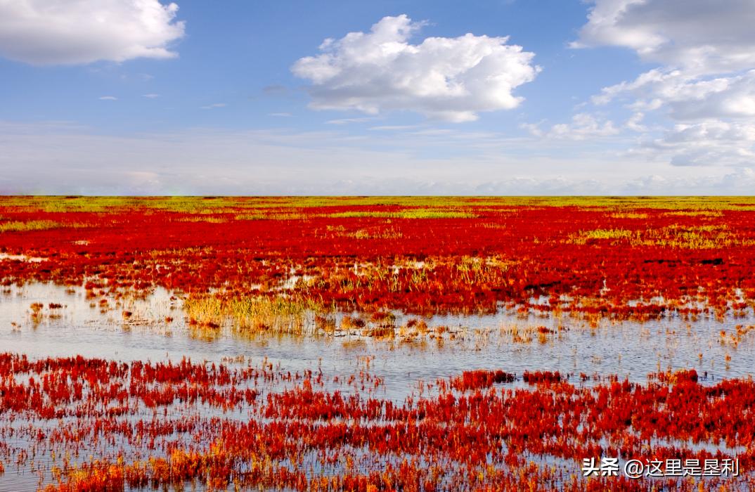 山东9个5a免费景区名单2020,山东免费4a景点排名一览表