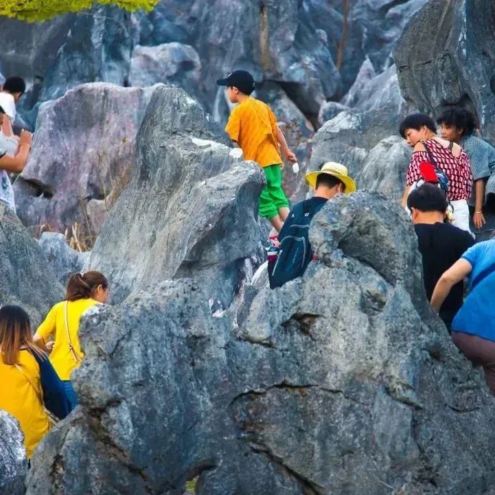 六一带孩子出游推荐,六一带孩子去哪儿玩