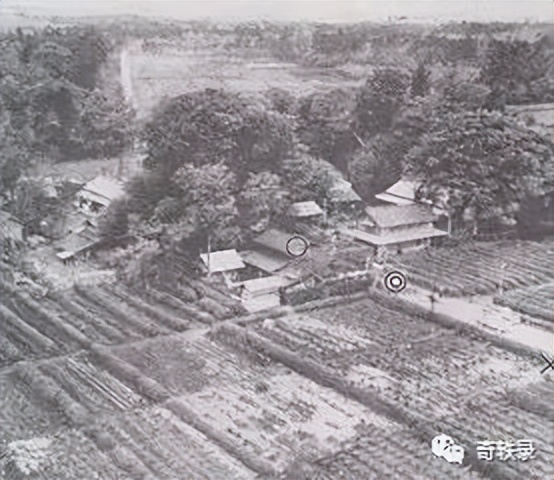 少女生日当天被绑架,案件相关人员接连死亡,日本知名悬案龙猫案