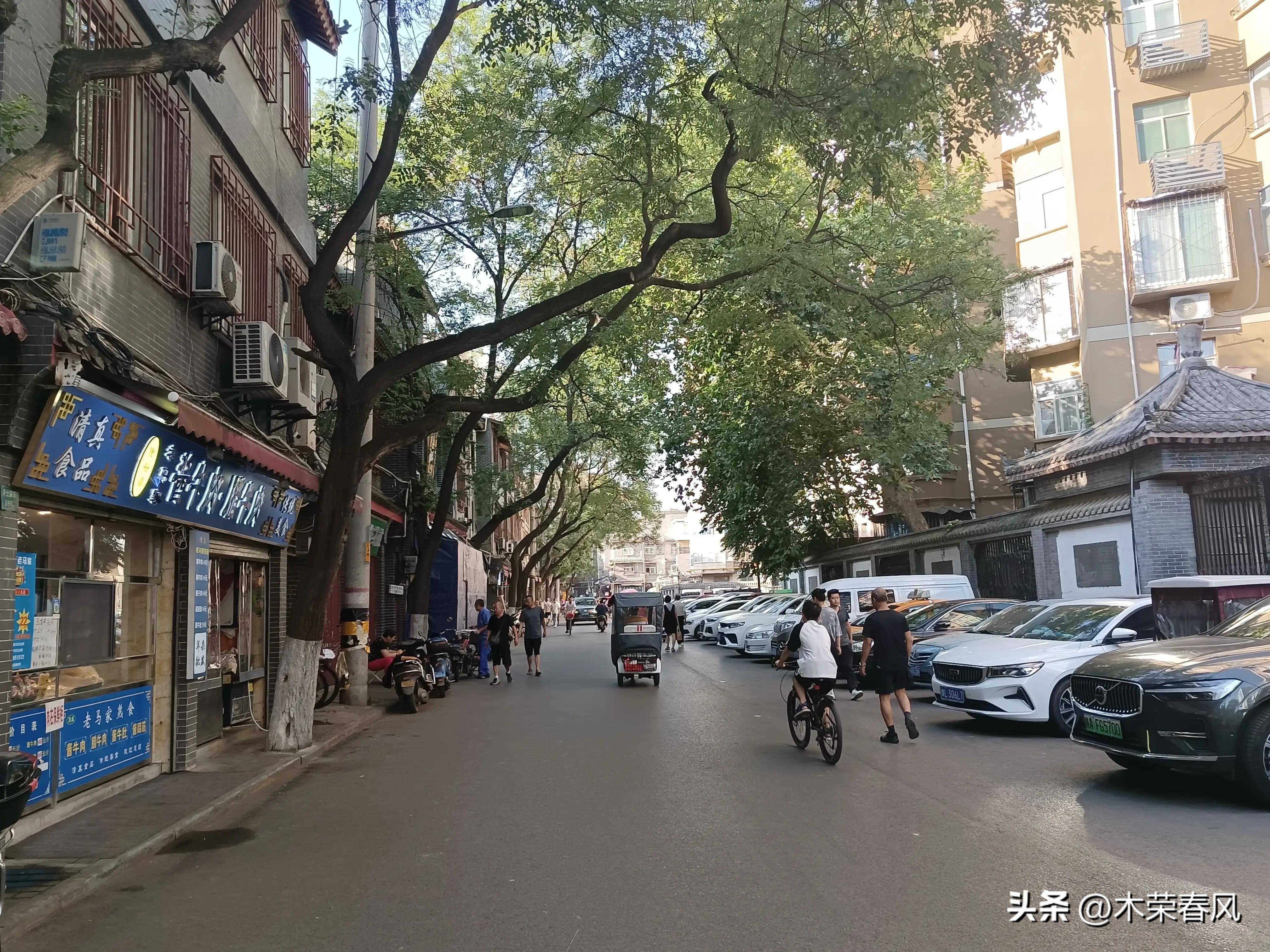 莲湖公园看荷花几点合适,莲湖公园荷花怎么走