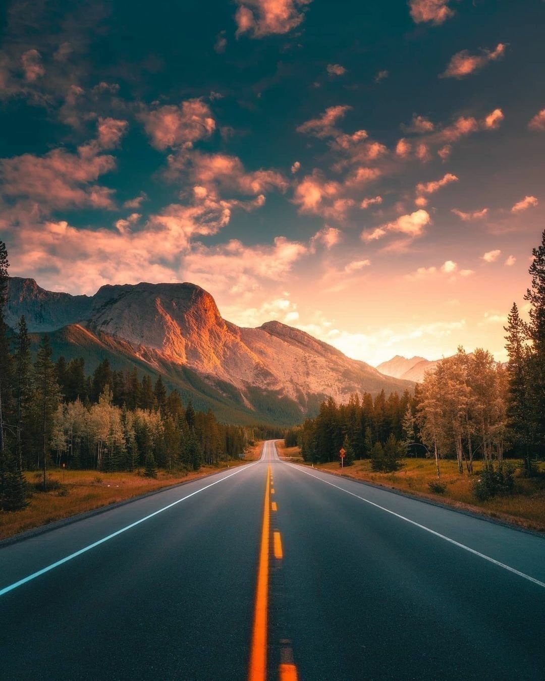 【被窝段子20221225】每个人的花期不同不必焦虑有人比你提前拥有