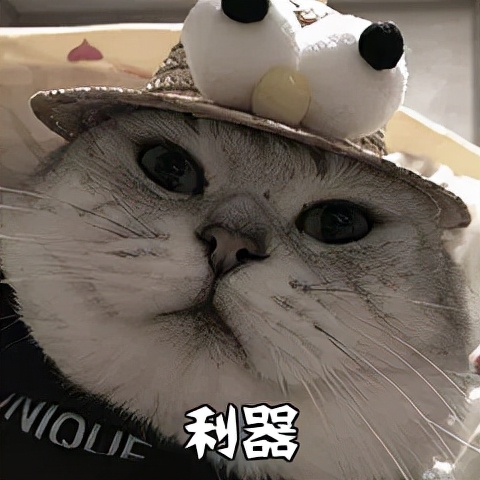 小学生编程免费学习网站,10岁儿童学习编程免费网站