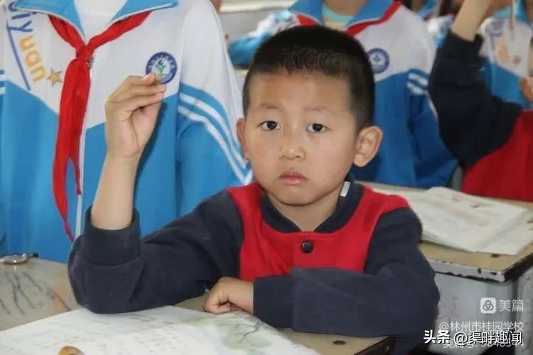 聚焦德育活动促学生全面发展,聚焦入学助力儿童成长公开课