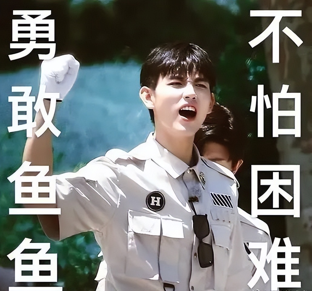 金晨炽道是本色出演吗,金晨王安宇炽道什么剧