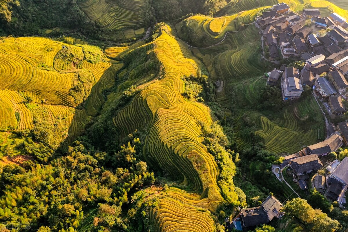 广西梯田龙脊梯田,龙脊梯田世界一绝美不胜收