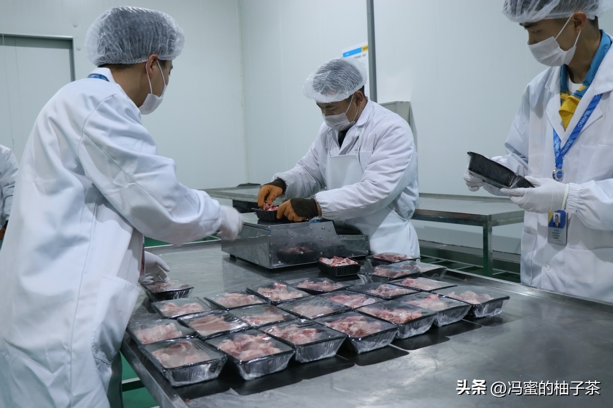 可持续食品供应链的概念,可持续发展在食品领域的重要表现