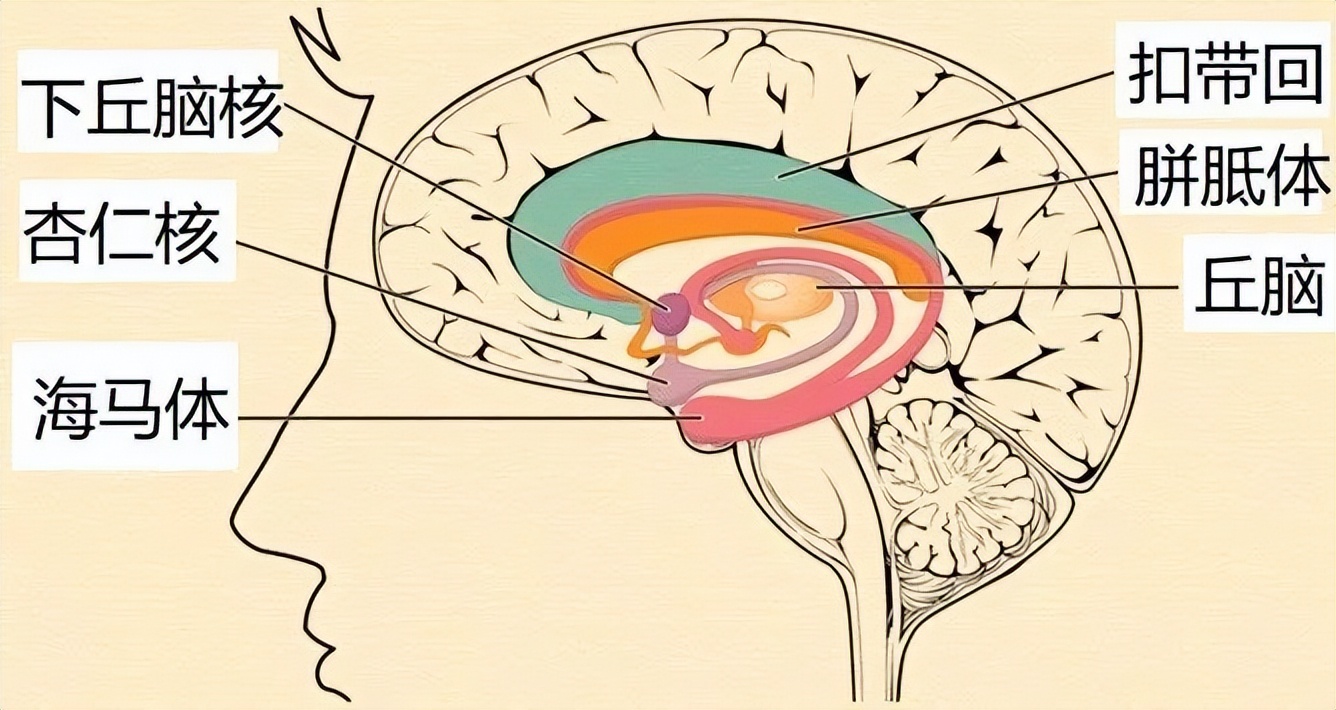 健康科普人体10大器官最怕什么,健康科普视频常见问题解答