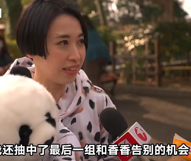 大熊猫香香回国香香出生,大熊猫香香回国后首次露面