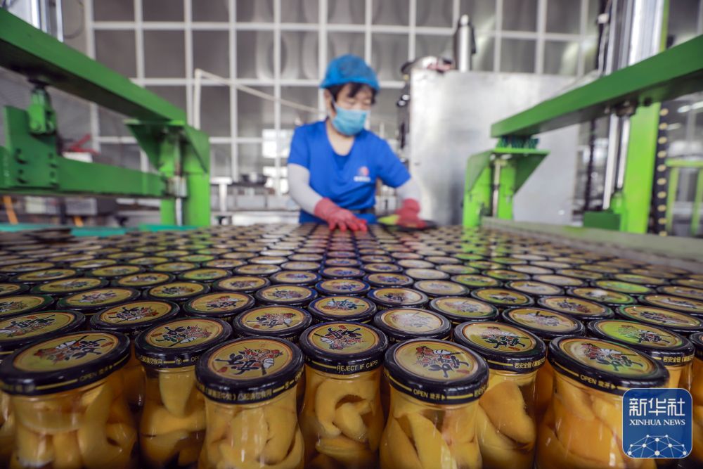 遵化农产品加工忙,遵化食品加工业帮农增收30亿元