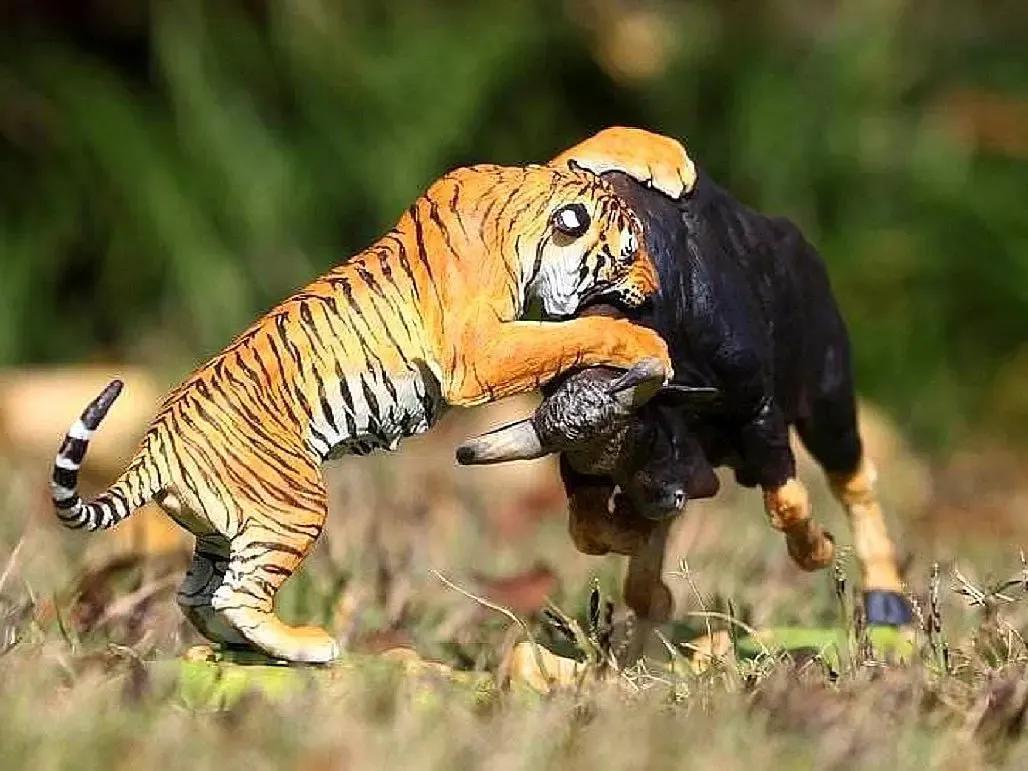 狗子去动物园看见老虎的反应,老虎见到狗子和狗子的反应