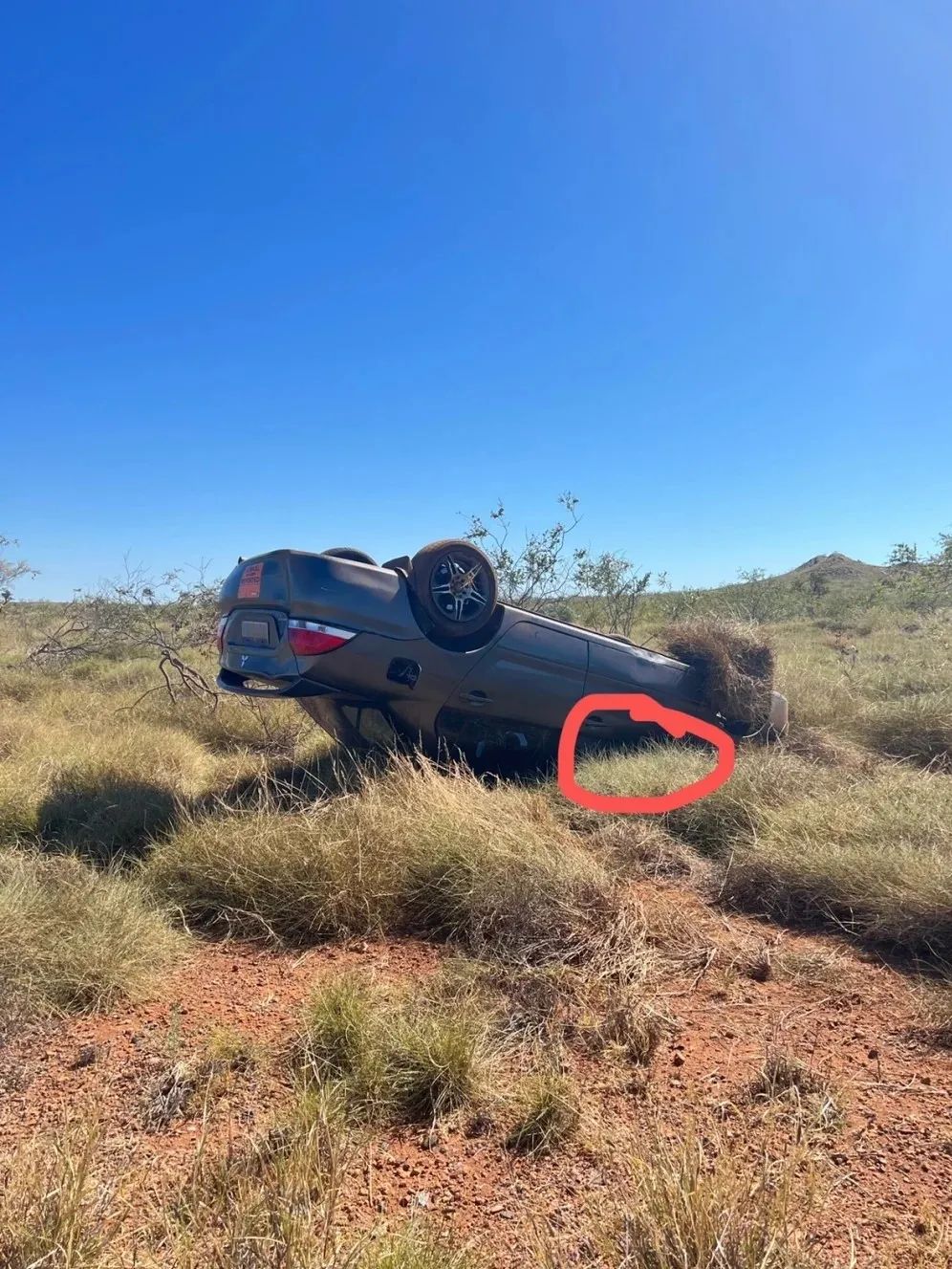 黄嘻嘻在澳洲,黄嘻嘻的澳洲闯荡记