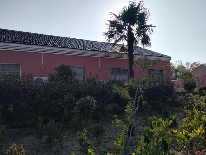 画与景,幼儿长卷画景