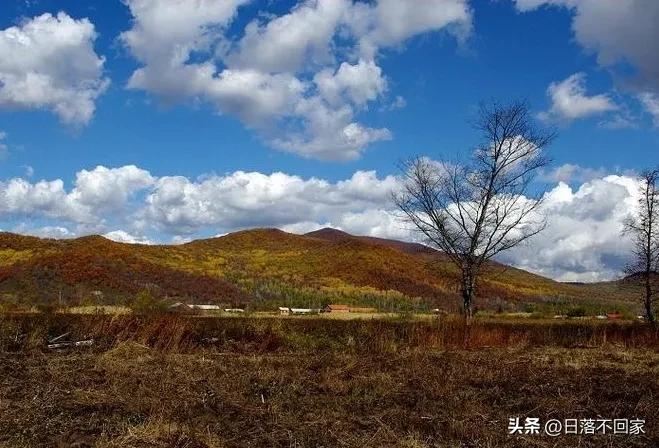 北大荒往事：猎人邻居姜叔同我讲猎杀黑熊，一个细节让他放下*器武**