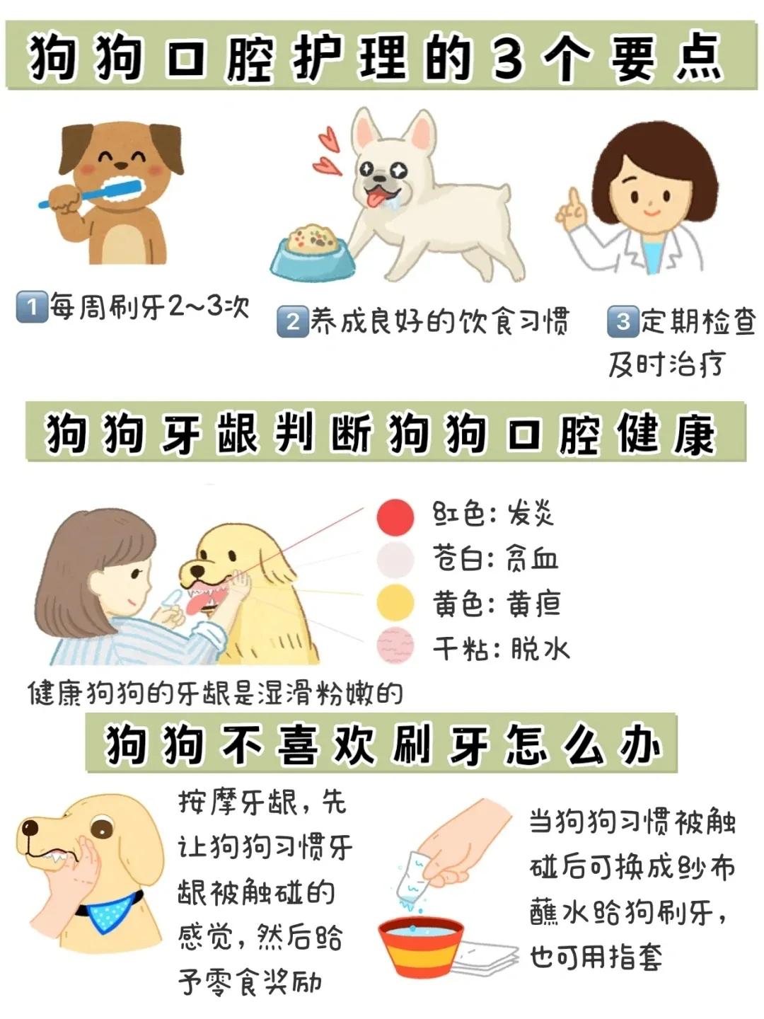 狗狗牙齿红肿怎么办,狗狗牙齿可以剪掉吗