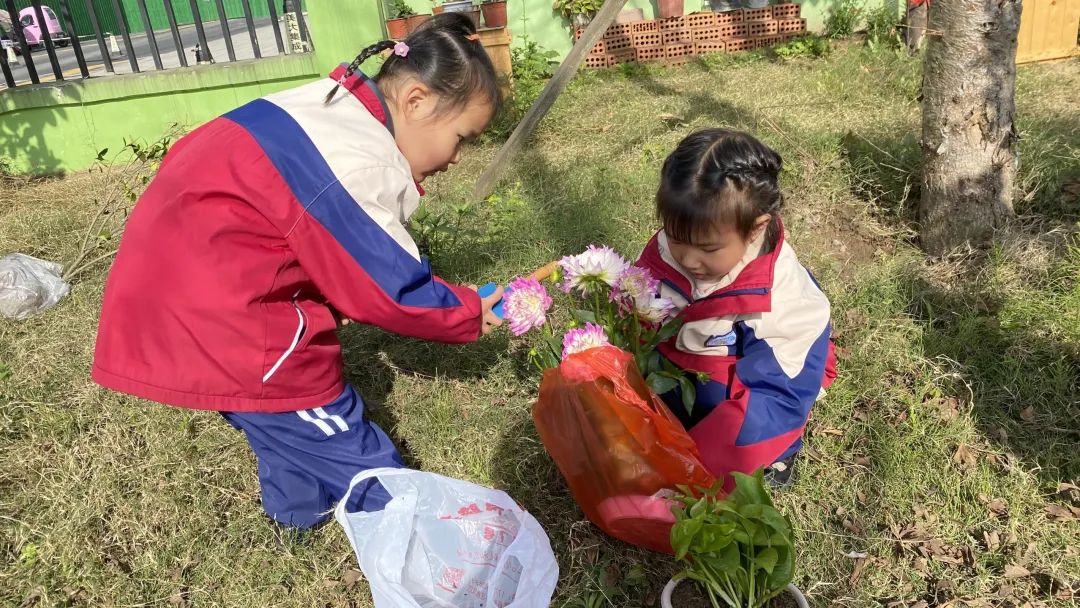 洪雅县第四幼儿园叫什么名字,洪雅第四幼儿园在哪里