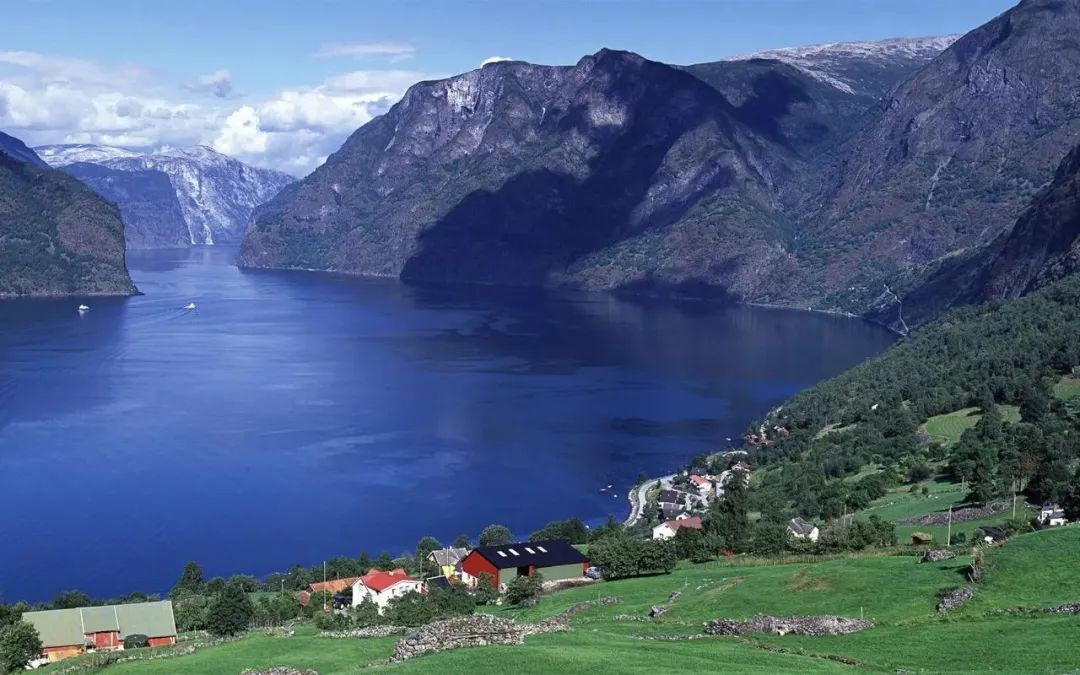 我学会了四年级下册第六单元作文,语文四年级第六单元习作我学会了