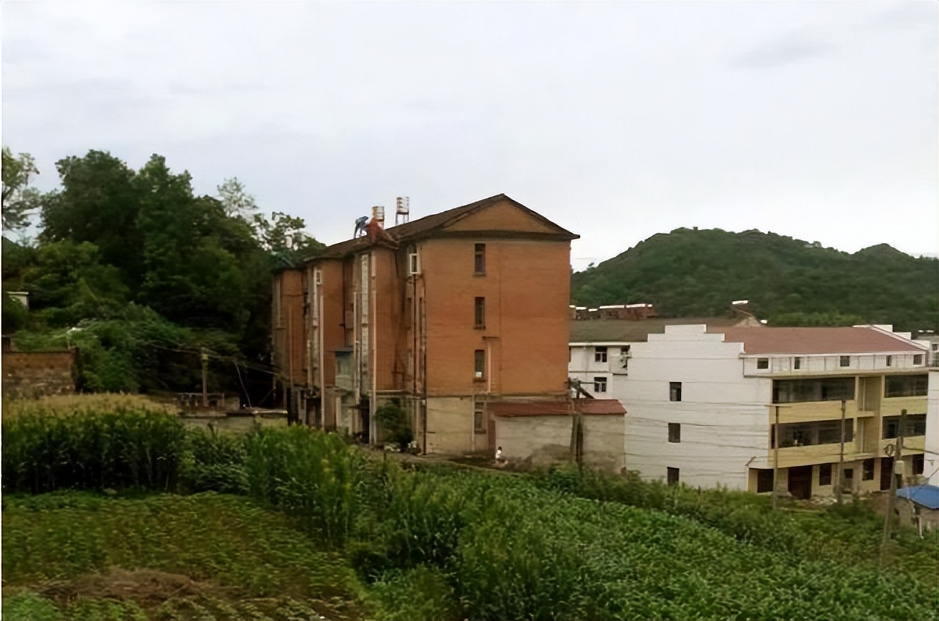 合肥“光刻机女王”程卓发家史：下海创业，公司上市，身家50亿