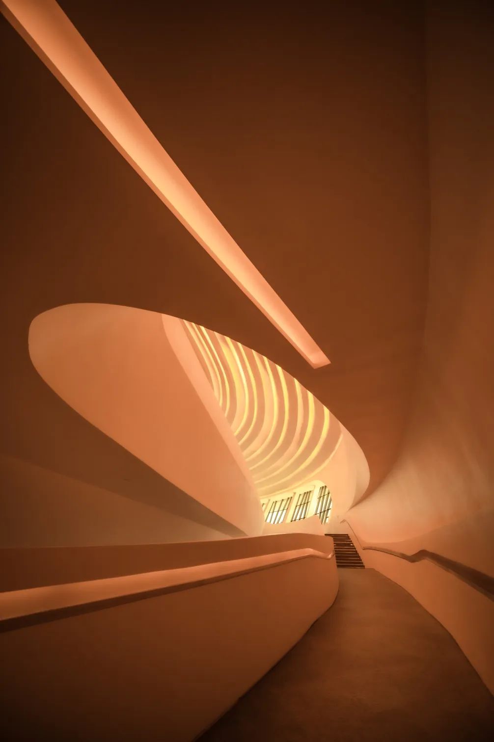 来自五湖四海的大学生摄影爱好者们，在拍些什么？