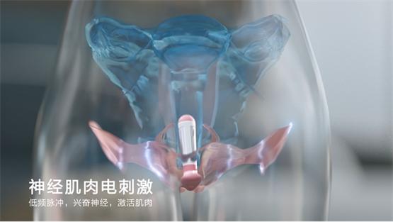 澜渟盆底仪怎么样,澜渟盆底肌修复仪可以每天使用吗