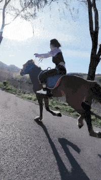 “24岁的女友发育成这样算正常吗？”哈哈哈朋友都说她是我兄弟！