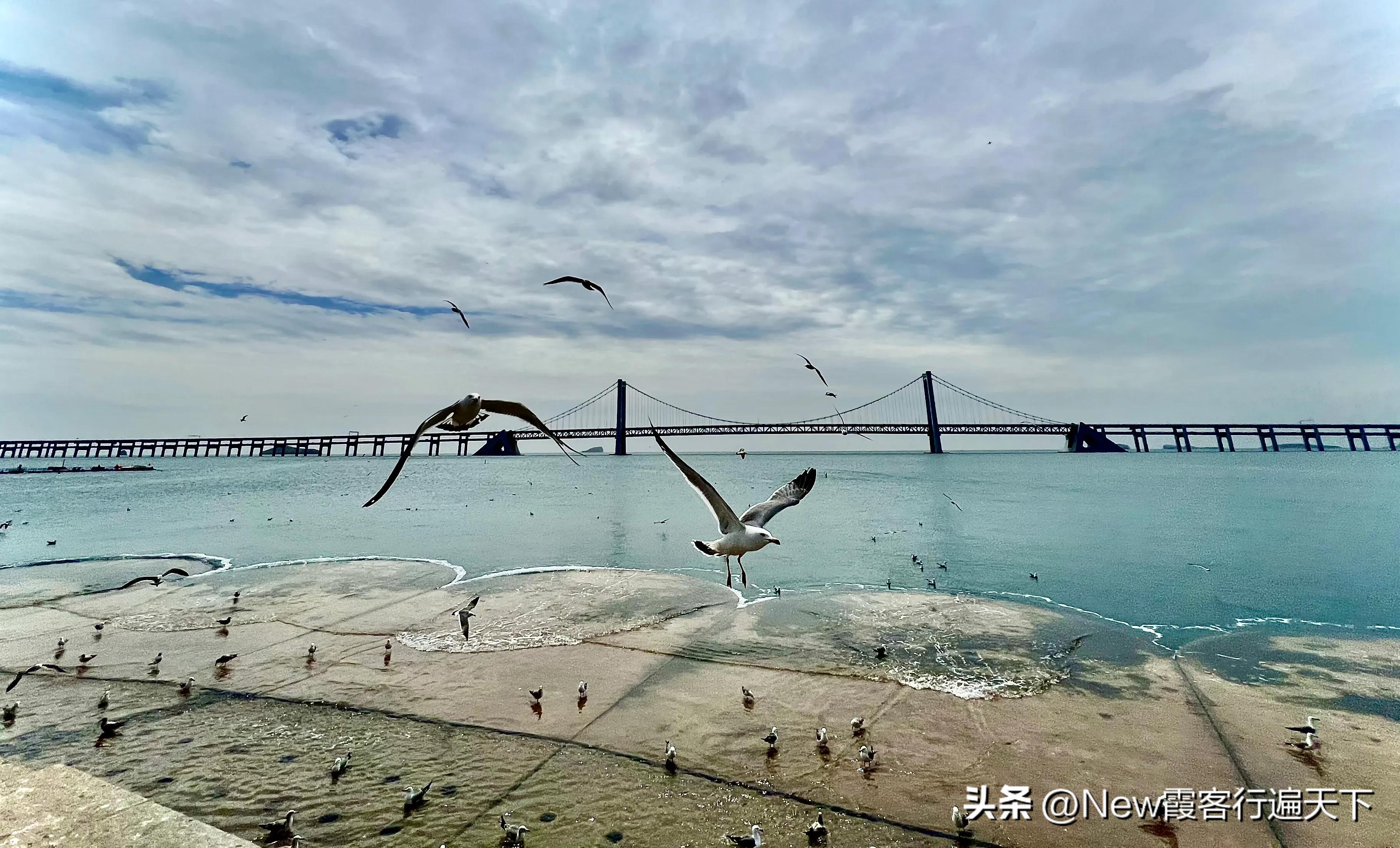 大连滨海路木栈道旅游攻略,周末徒步徜徉大连山海美景