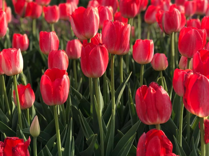 早间3分钟知晓天下事,早间五分钟知晓天下事