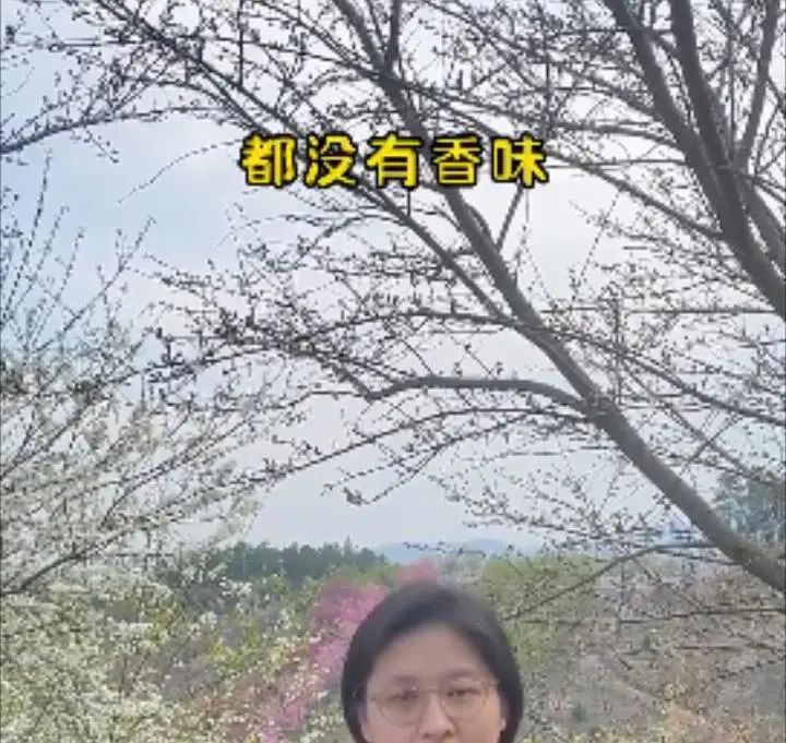 螺蛳粉味儿的樱花,带螺蛳粉味的樱花