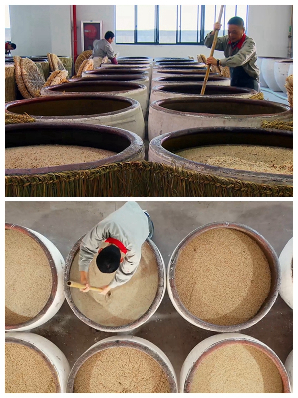 绍兴黄酒古镇,绍兴是水乡吗