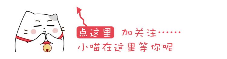 猫得了猫癣还会再得猫癣吗,猫癣是怎么形成的猫癣有什么症状