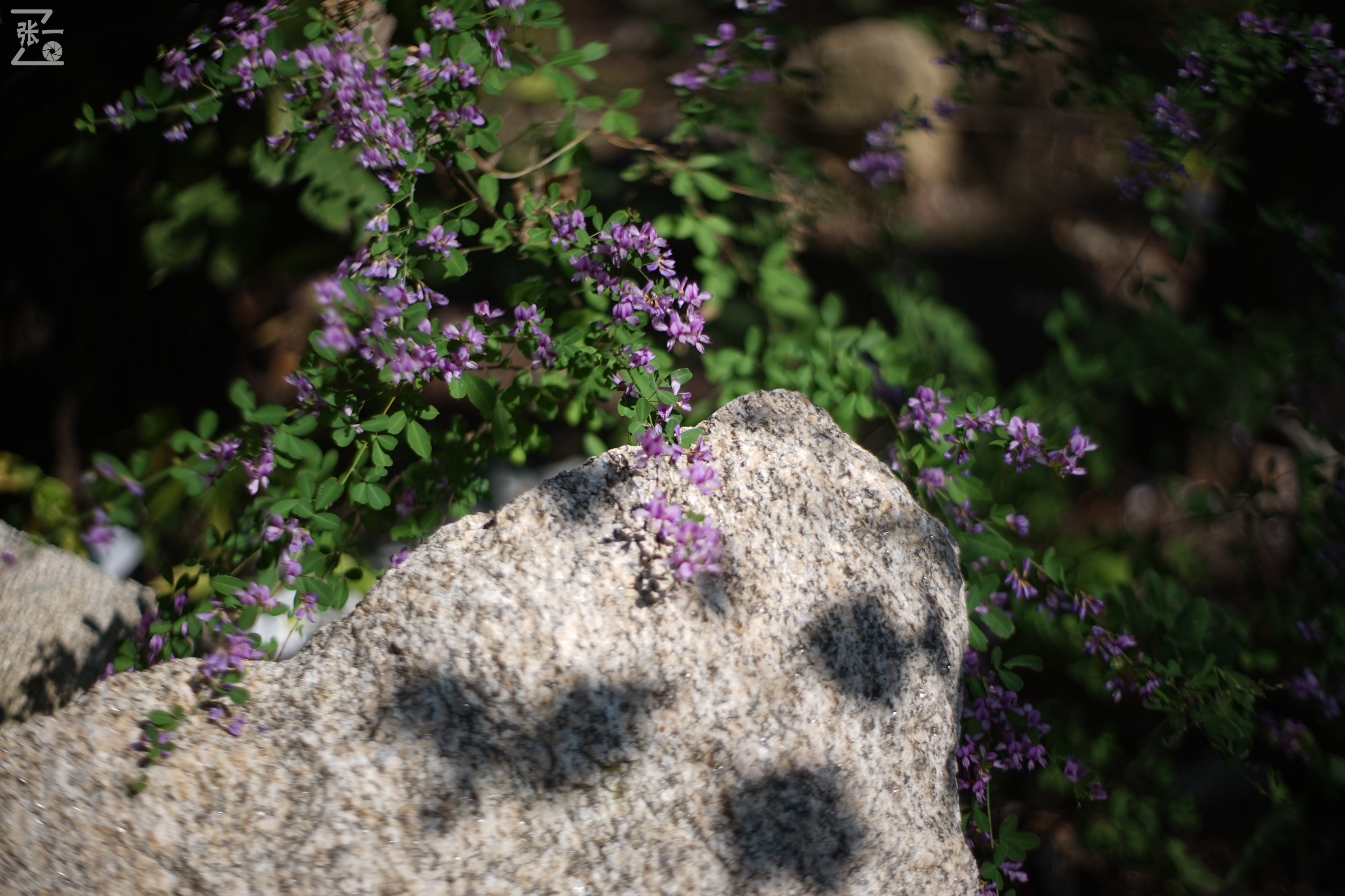 老镜头实拍,老镜头拍北京