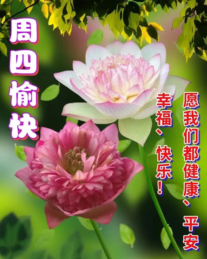 问候语祝福朋友的句子暖心,问候祝福朋友开心快乐的温馨句子