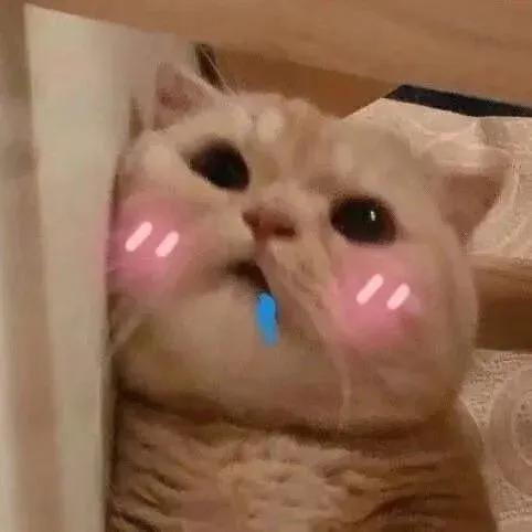 朋友圈文案可爱沙雕,适合朋友的沙雕文案