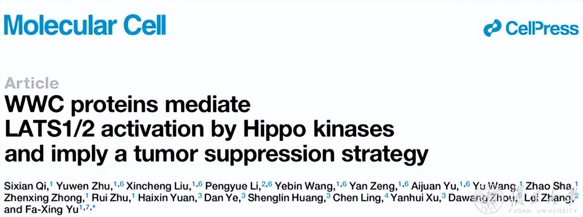 复旦团队发表研究成果,复旦大学最新科研消息