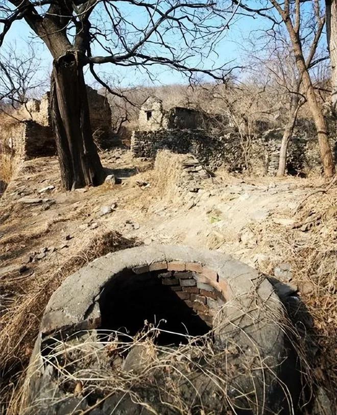 51岁女子在网上邂逅24岁小伙后，将其*养包**，最终走上一条不归路