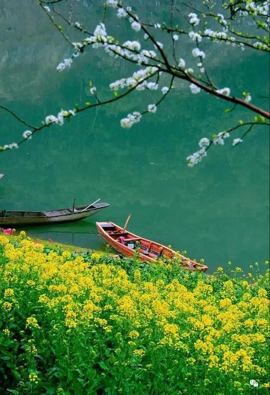 2022年，绿汀文学社《天天诗刊》第24期