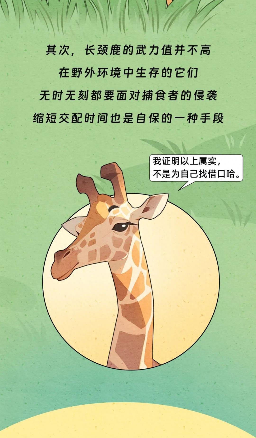 动物交配行为鉴赏，真的触碰到了我的知识盲区（漫画）