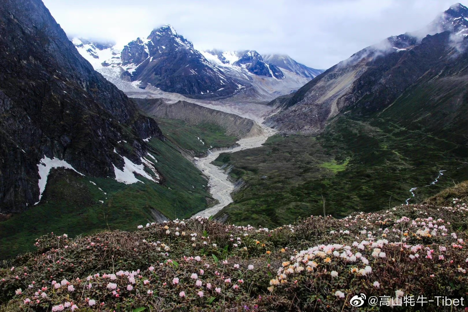 希夏邦马峰离珠峰有多远,希夏邦马峰可以攀登吗