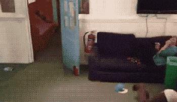 开幼儿园赔钱怎么经营,开幼儿园的十大忠告