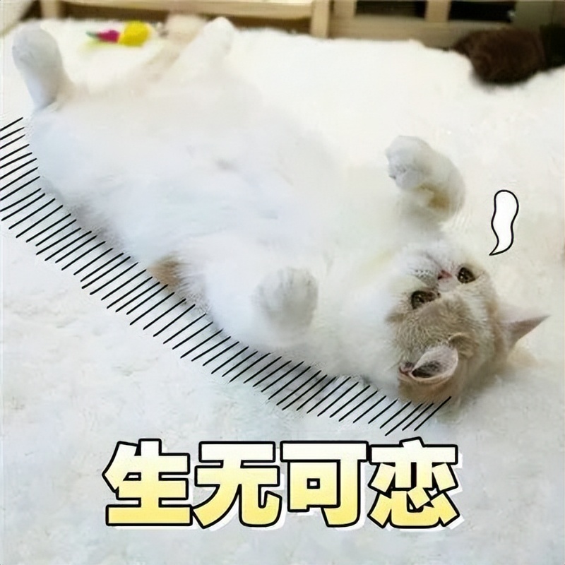 成绩单评语自动生成,学生评语导入成绩单自动生成教程