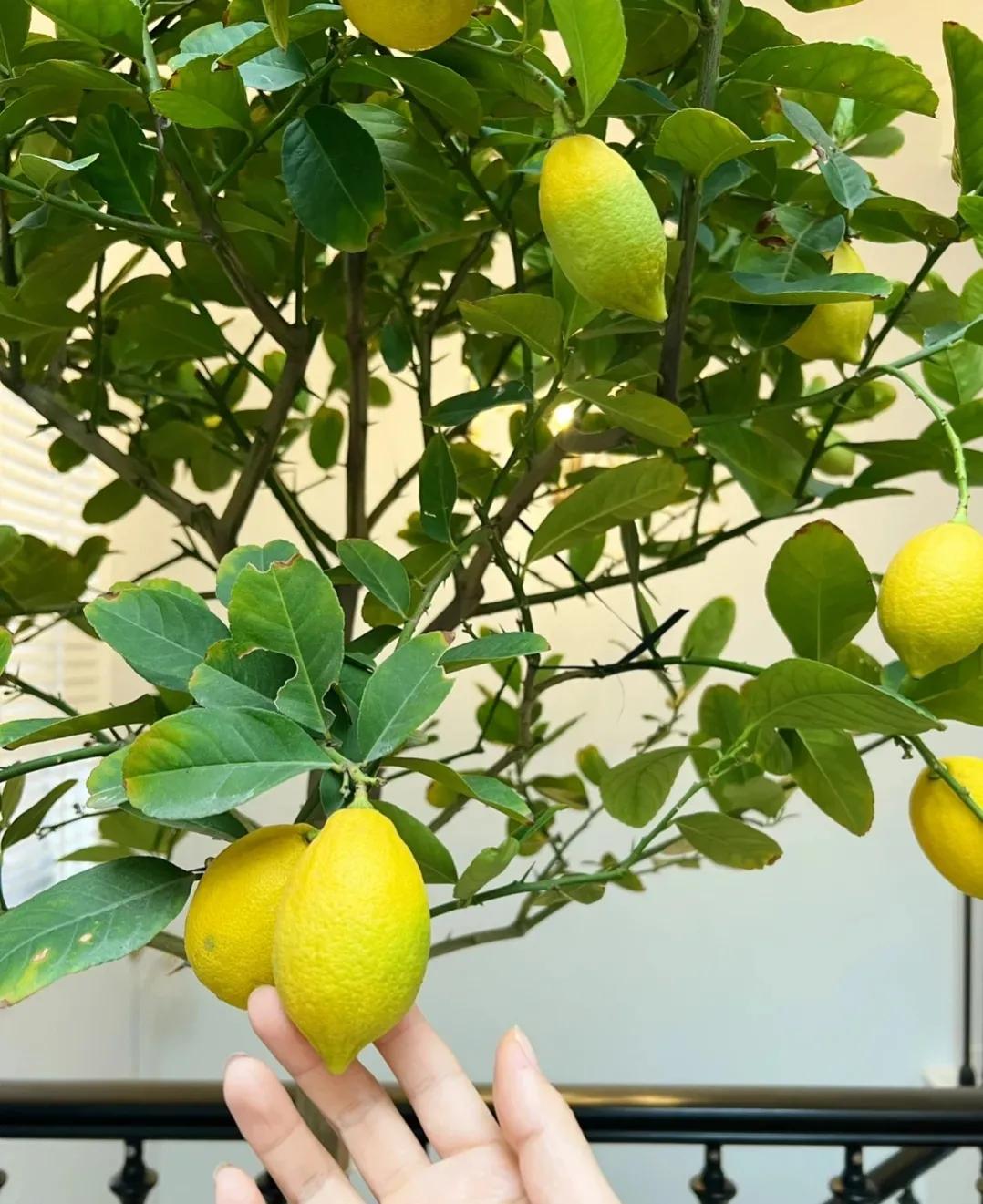 35宀佸皬濮愬鎶よ偆淇濆吇,35宀佸皬濮愬鏃ュ父鎶よ偆