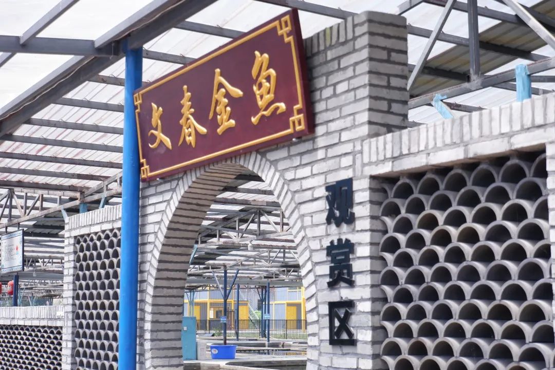 元旦闽侯周边一日游,闽侯周末游