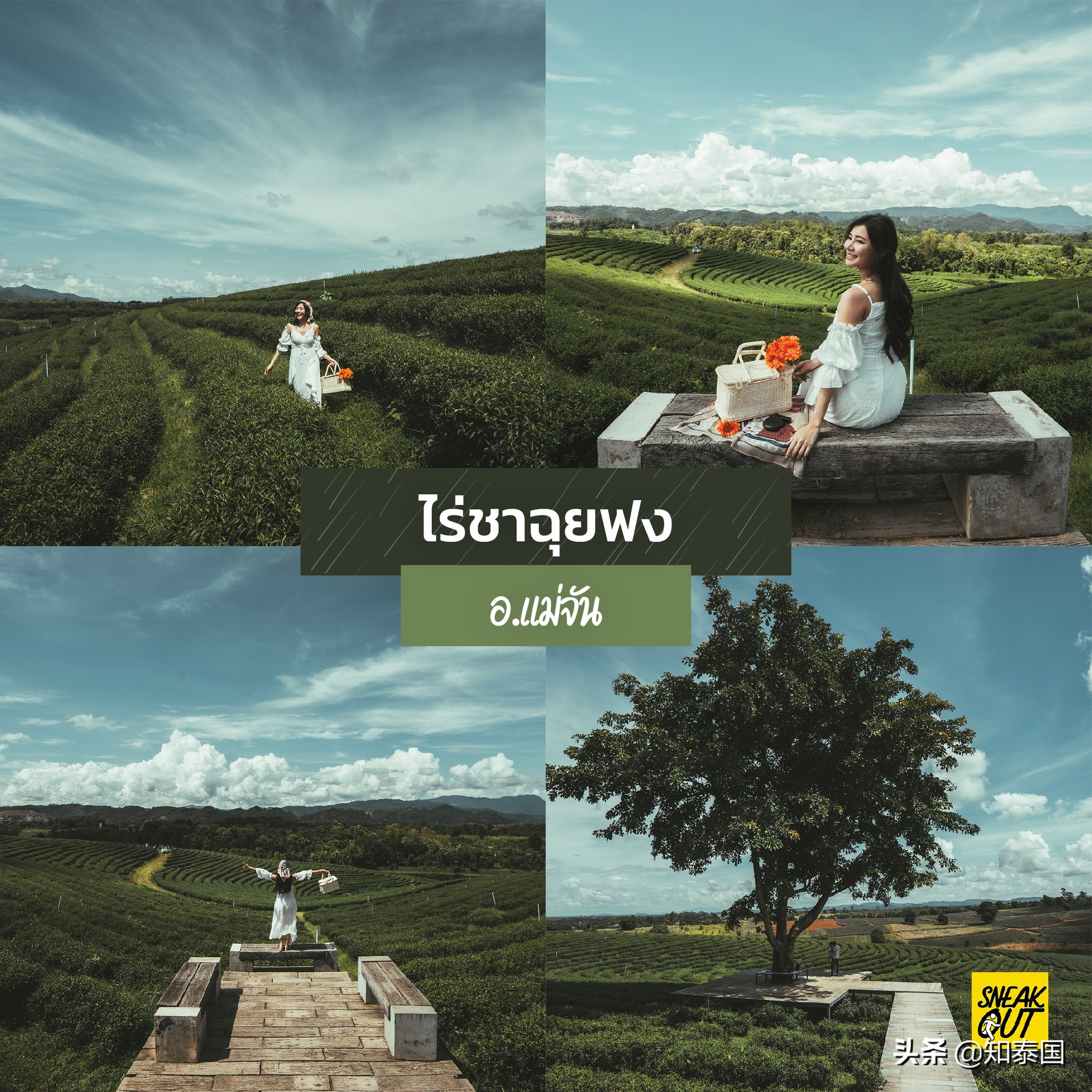 泰国清莱旅游攻略图,泰国雨天旅游必去景点