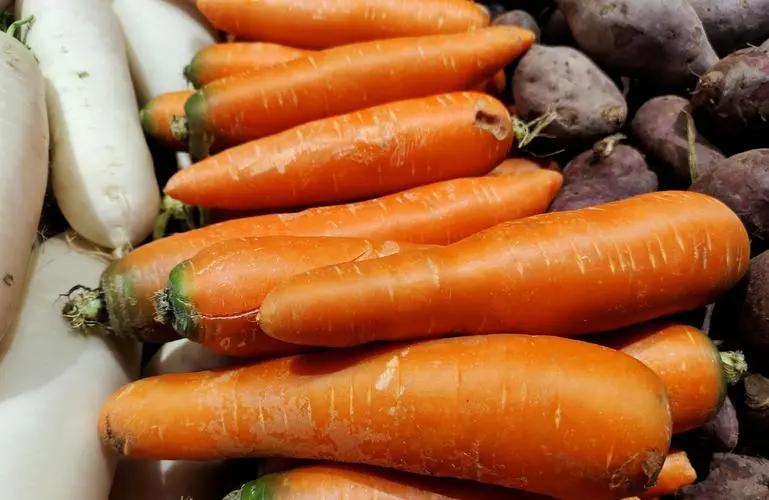 有多少蔬菜种子被国外垄断,蔬菜种子被垄断