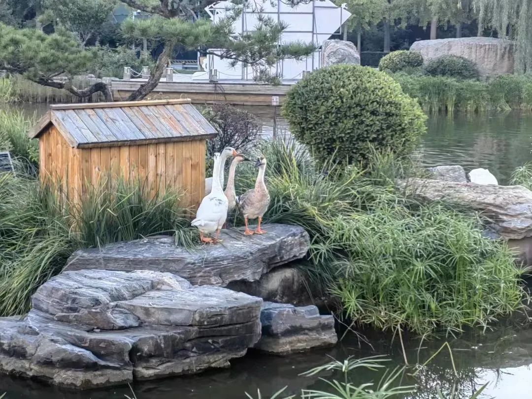 在校vs工作,在校vs校外