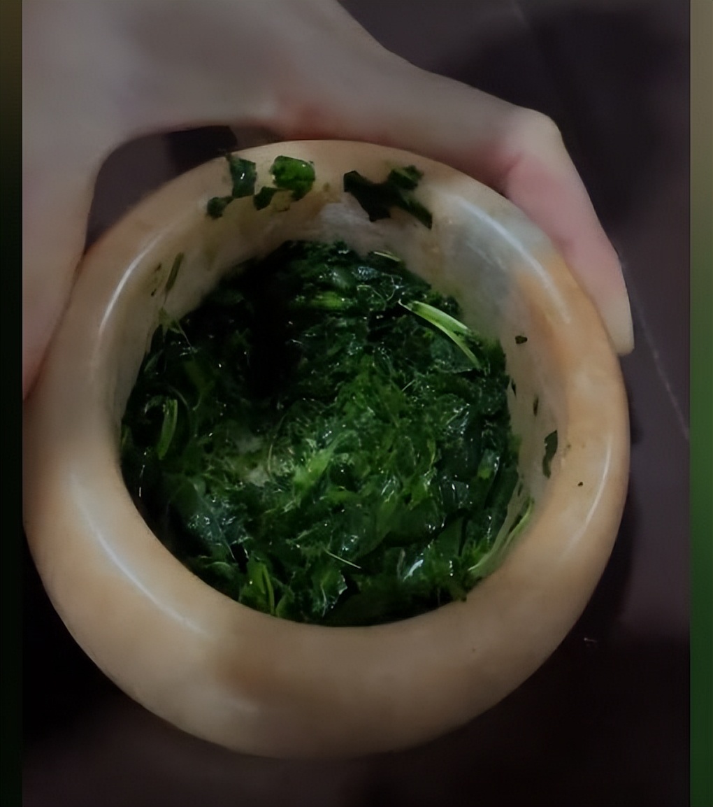 女子给狗狗用菠菜染色,女子自制菠菜汁给狗狗染发