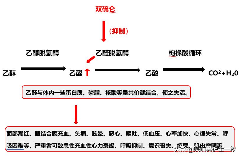 双硫仑样反应该如何紧急处置